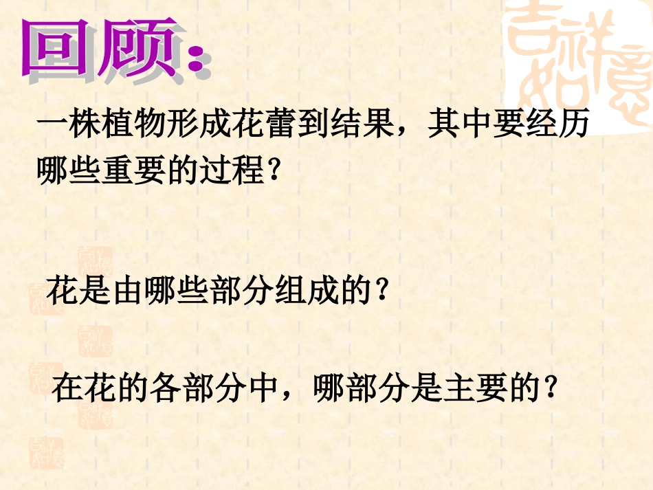 植物的生殖生物的生殖和发育课件_第2页