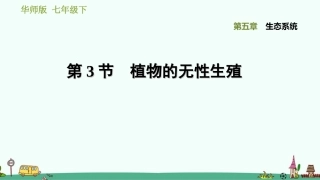 植物的无性生殖习题课件华师版科学