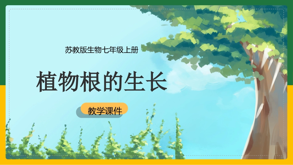 植物根的生长_第1页