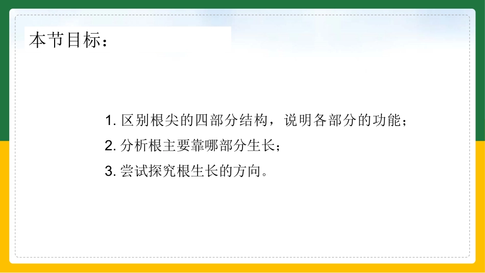 植物根的生长_第2页