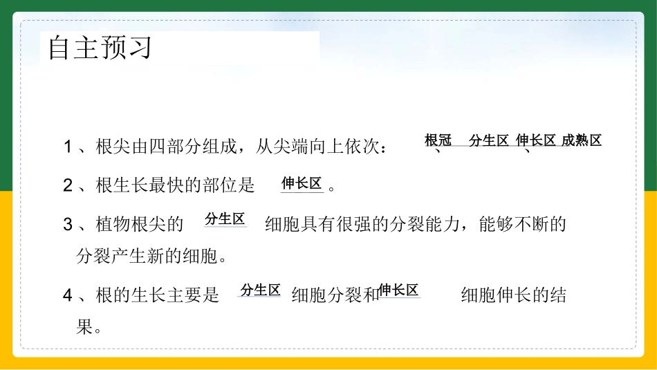 植物根的生长_第3页