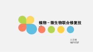 植物微生物联合修复技术