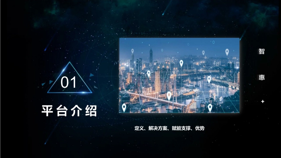 智惠科技资源公共服务平台介绍_第3页