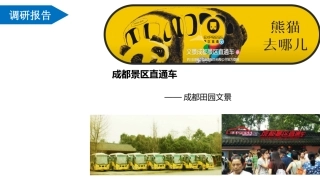 智慧旅游交通项目成都景区直通车项目考察调研