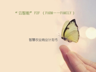 智慧农业商业计划书