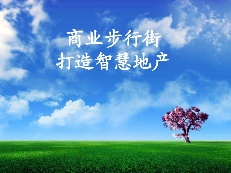 智慧社区商业步行街解决方案智慧商圈_第1页