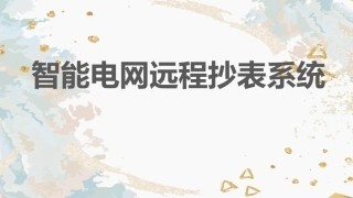 智能电网远程抄表系统