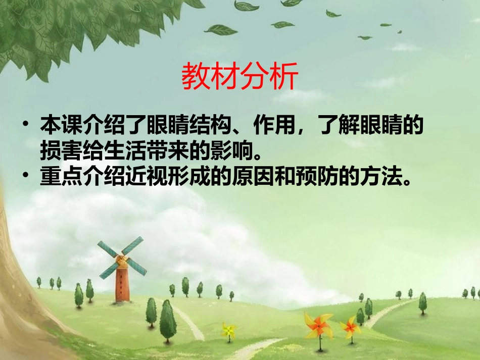 中班健康爱护眼睛培训课件_第3页