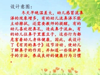 中班健康有用的鼻子课件