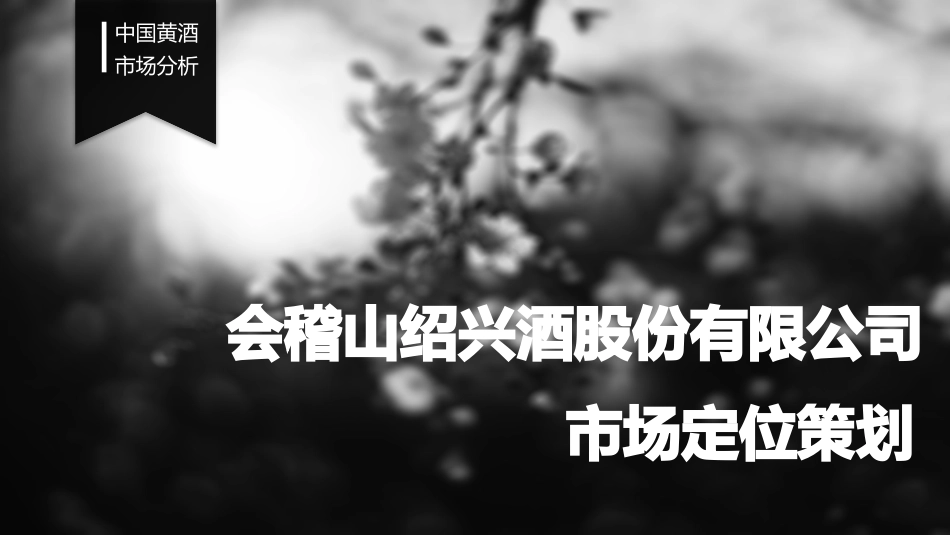中国黄酒市场分析_第1页