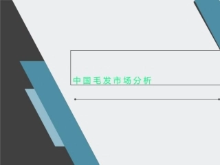中国毛发市场分析