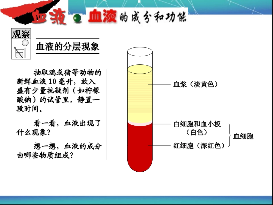 中考生物血液循环复习课件_第2页