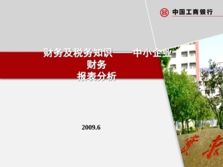 中小企业财务报表分析