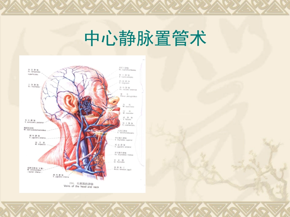 中心静脉置管术课件_第1页