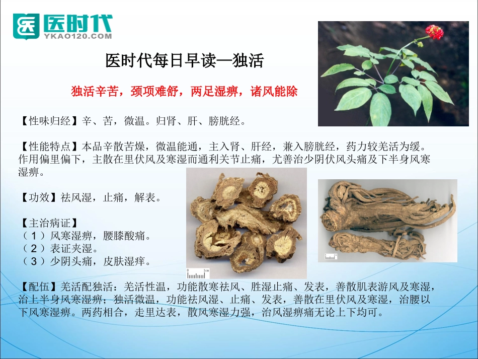 中药药材知识点_第1页