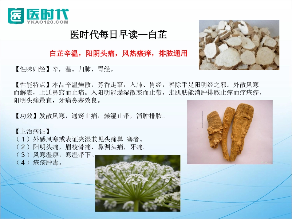 中药药材知识点_第3页