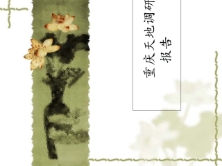 重庆天地调研报告