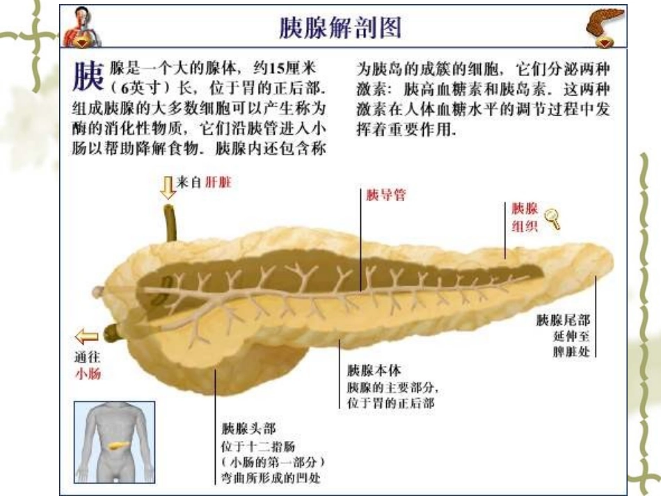 重症胰腺炎的治疗和护理优质课件_第2页