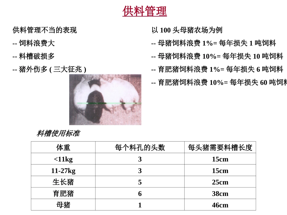 猪饲养管理手册_第3页