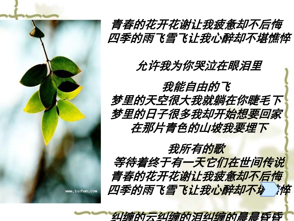 主题班会为自己喝彩谈情绪的调整_第1页