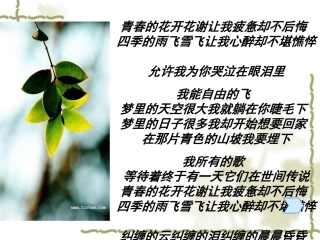 主题班会为自己喝彩谈情绪的调整