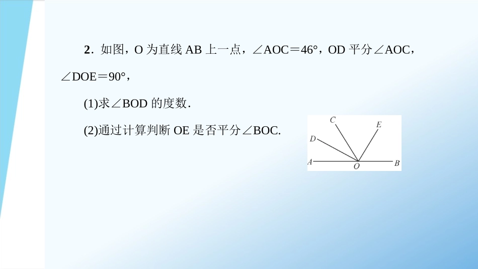 专题训练十角的计算_第3页