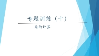 专题训练十角的计算