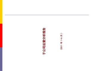 子公司运营分析报告