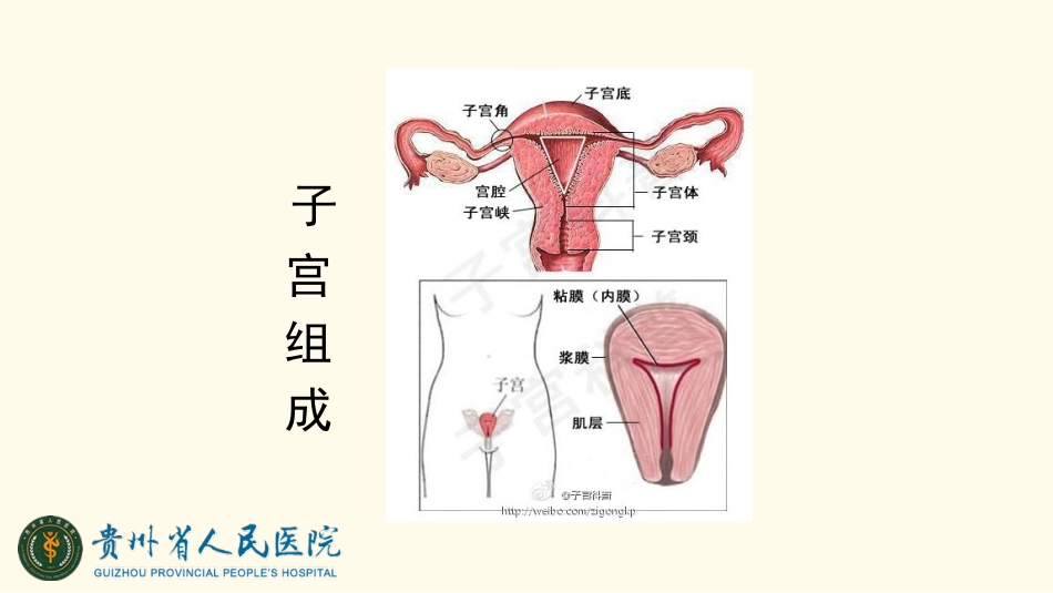 子宫肌瘤常规护理_第3页