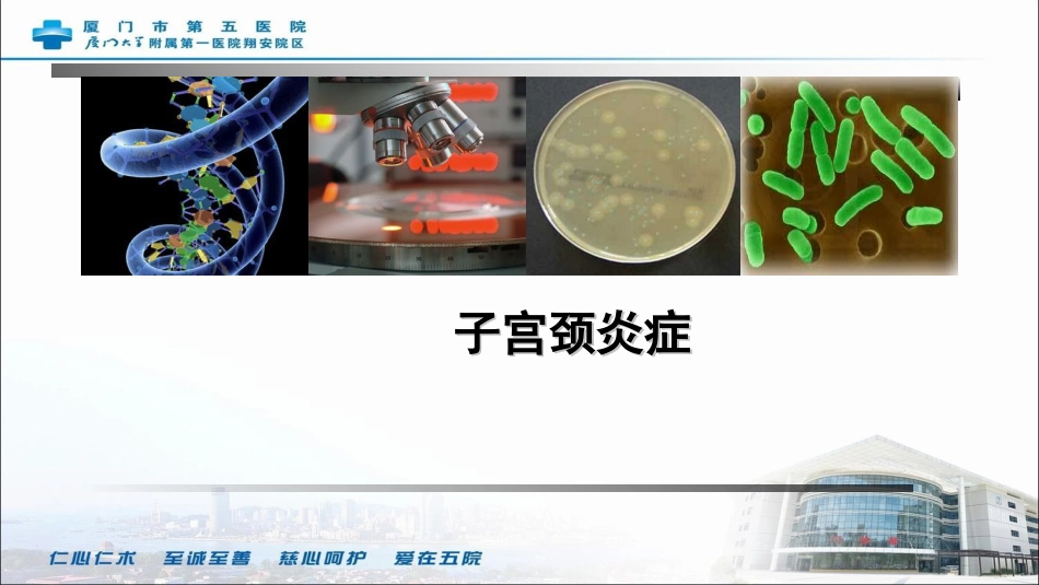 子宫颈炎症版_第2页