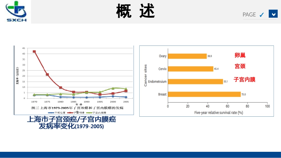 子宫内膜癌的诊治_第3页