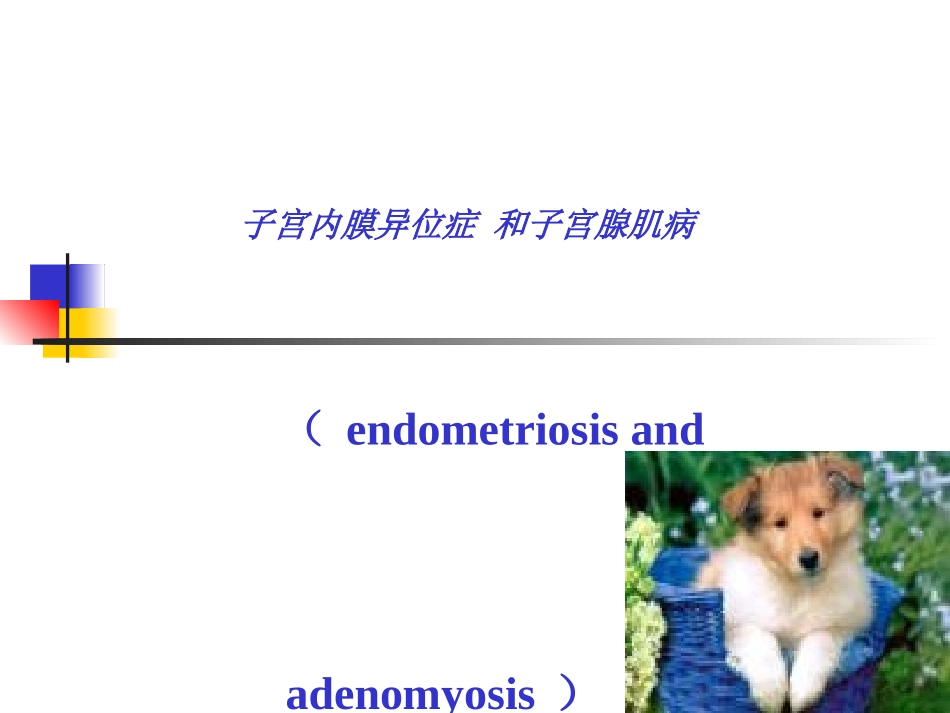 子宫内膜异位症英语课件_第1页