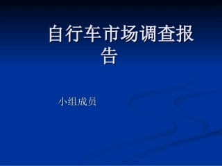自行车市场调查报告