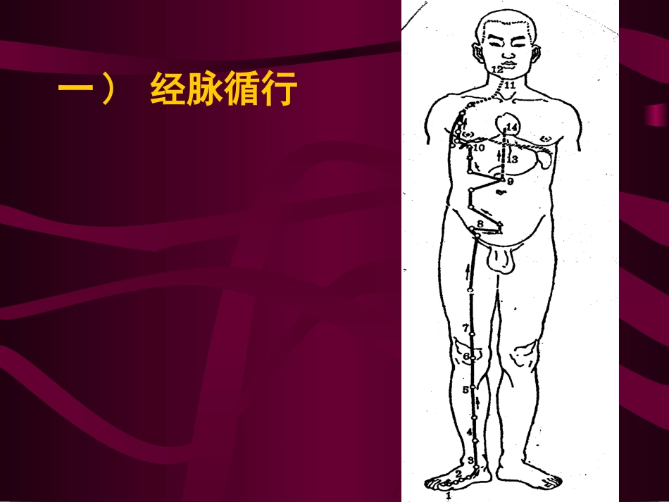 足太阴脾经教学课件_第3页