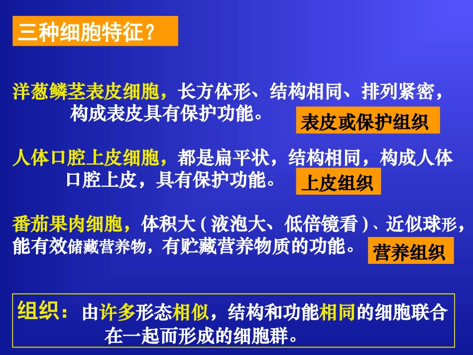 组织器官和系统课件_第2页