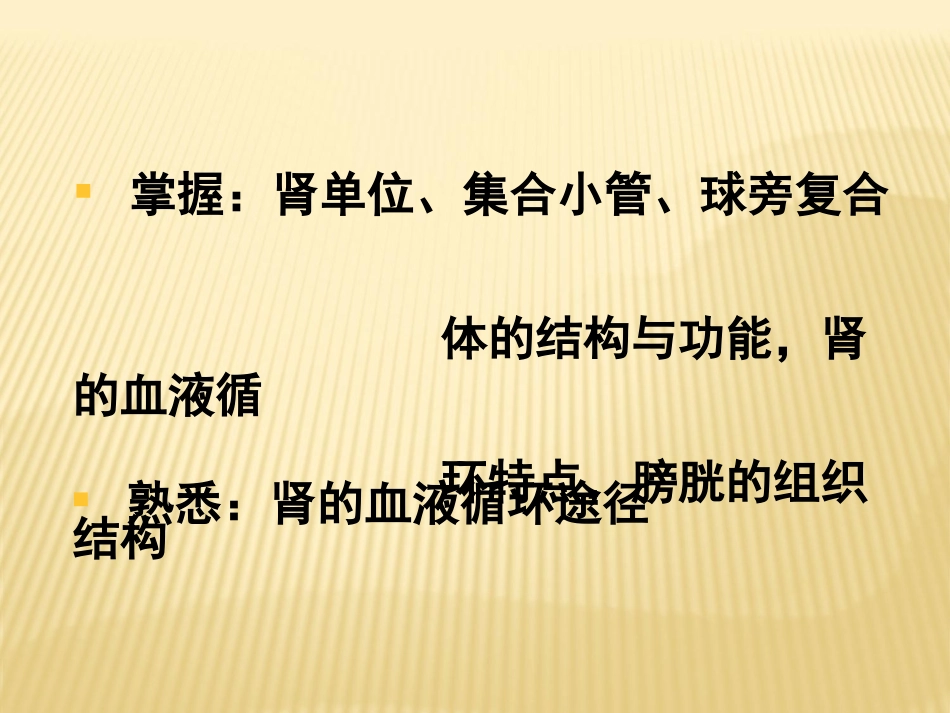 组织学与胚胎学泌尿系统肾优质课件_第2页