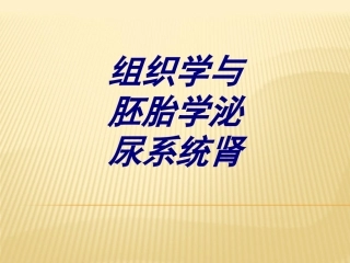 组织学与胚胎学泌尿系统肾优质课件