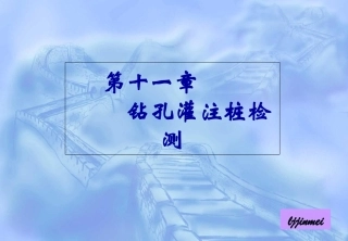 钻孔灌注桩检测