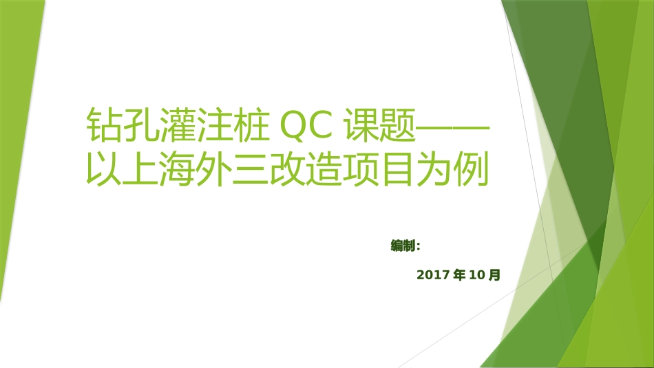 钻孔灌注桩控制要点_第1页