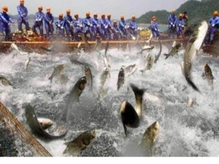 钻孔灌注桩施工培训材料课件