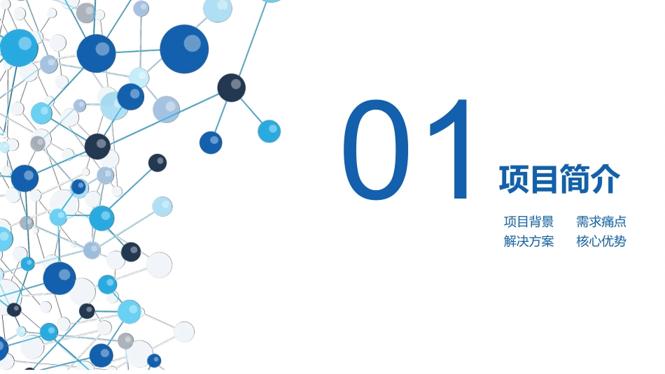 最新版区块链开发项目商业计划书_第3页