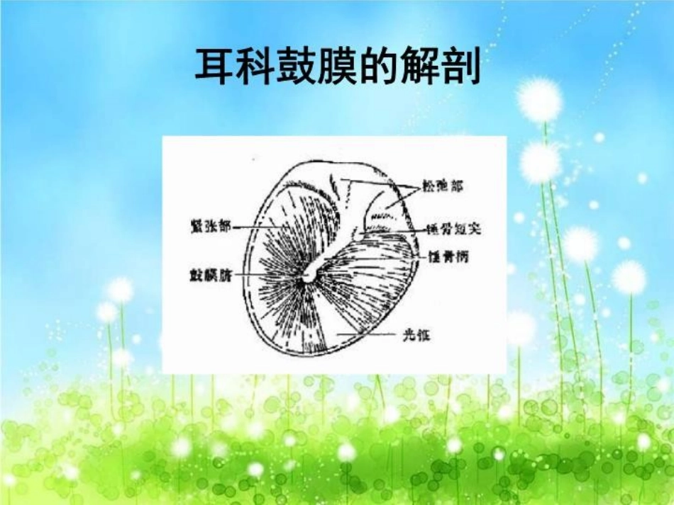最新耳鼻喉眼常见病症及治疗_第3页