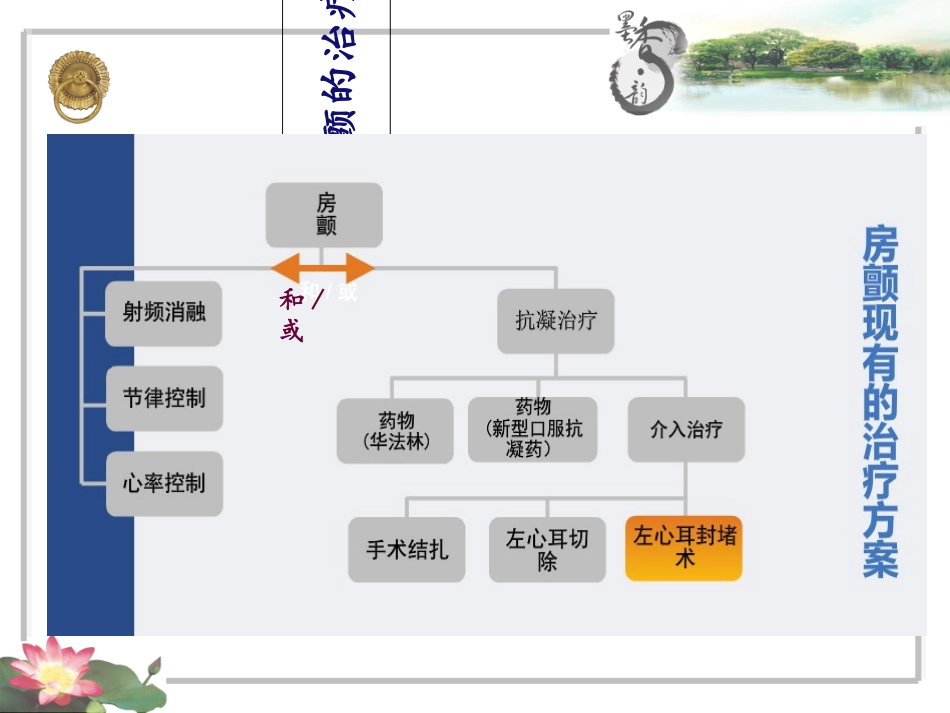 左心耳封堵术护理_第3页