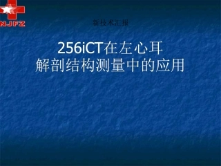256CT左心耳测量256iCT在左心耳解剖结构测量中的应用