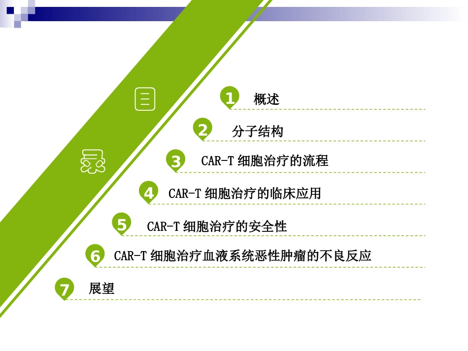 CART细胞治疗_第2页