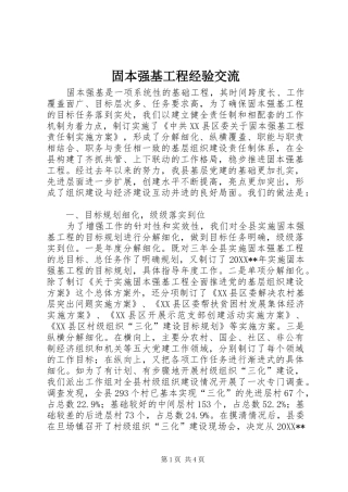 固本强基工程经验交流