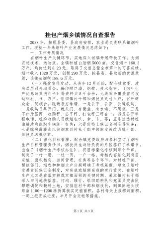 挂包产烟乡镇情况自查报告
