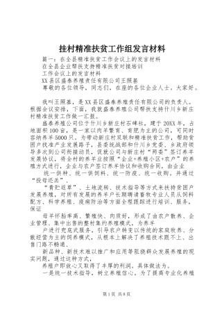 挂村精准扶贫工作组讲话材料