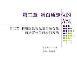GFP融合蛋白进行蛋白质的亚细胞定位解析