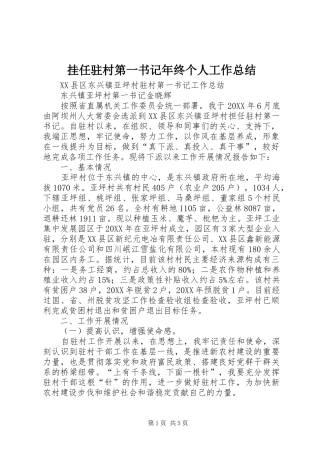挂任驻村第一书记年终个人工作总结